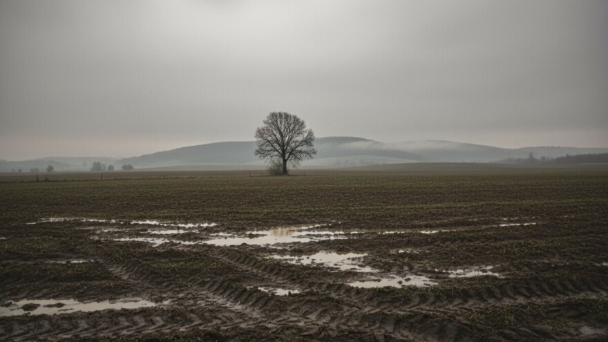 Izgledi za Hrvatsku za 06.02.2009-08.02.2009