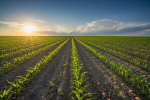 Izgledi za Hrvatsku za 06.06.2014-08.06.2014