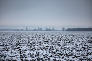 Izgledi za Hrvatsku za 07.02.2010-09.02.2010