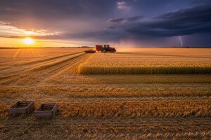 Izgledi za Hrvatsku za 07.08.2009-09.08.2009