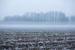 Izgledi za Hrvatsku za 08.12.2008-10.12.2008