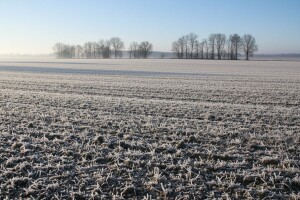 Izgledi za Hrvatsku za 09.01.2009-11.01.2009