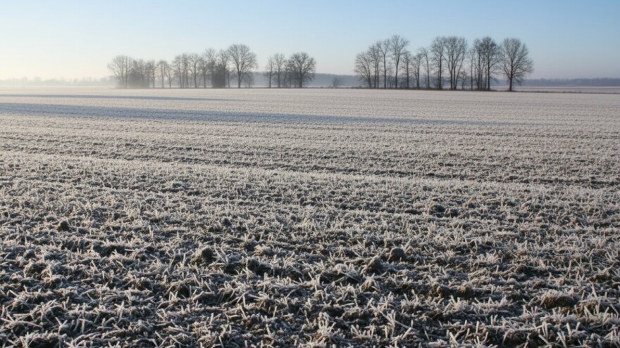 Izgledi za Hrvatsku za 09.01.2009-11.01.2009