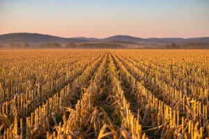 Izgledi za Hrvatsku za 09.09.2012-11.09.2012