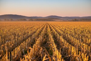 Izgledi za Hrvatsku za 09.09.2012-11.09.2012