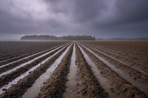 Izgledi za Hrvatsku za 09.11.2009-11.11.2009