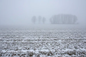 Izgledi za Hrvatsku za 10.02.2013-12.02.2013