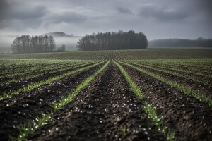 Izgledi za Hrvatsku za 10.04.2009-12.04.2009