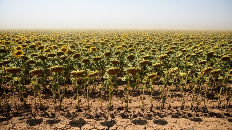 Izgledi za Hrvatsku za 10.07.2011-12.07.2011