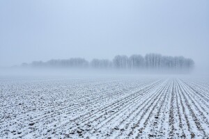 Izgledi za Hrvatsku za 11.12.2009-13.12.2009