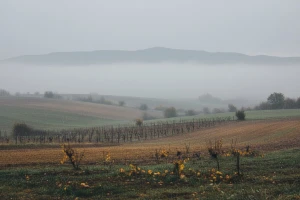 Izgledi za Hrvatsku za 11.12.2011-13.12.2011