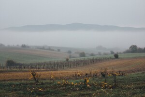 Izgledi za Hrvatsku za 11.12.2011-13.12.2011