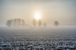 Izgledi za Hrvatsku za 12.01.2009-14.01.2009