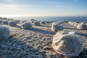 Izgledi za Hrvatsku za 12.02.2012-14.02.2012