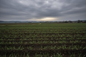 Izgledi za Hrvatsku za 12.05.2013-14.05.2013