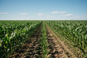 Izgledi za Hrvatsku za 12.06.2009-14.06.2009