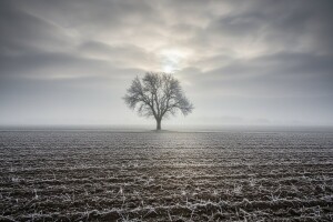 Izgledi za Hrvatsku za 12.12.2010-14.12.2010