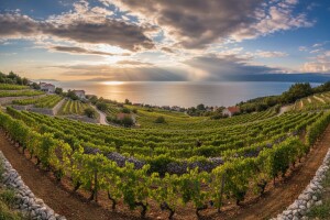 Izgledi za Hrvatsku za 14.08.2009-16.08.2009