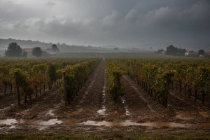 Izgledi za Hrvatsku za 15.10.2012-17.10.2012