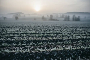 Izgledi za Hrvatsku za 17.02.2013-19.02.2013