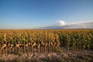 Izgledi za Hrvatsku za 18.08.2013-20.08.2013