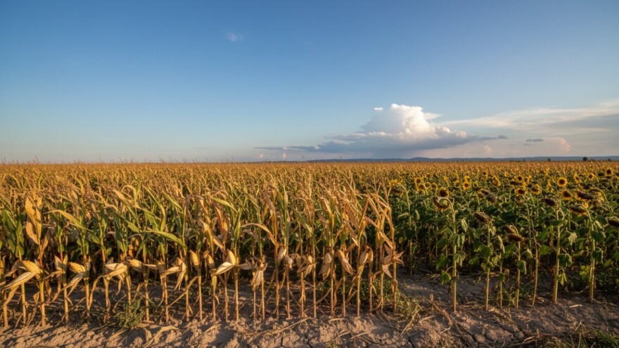 Izgledi za Hrvatsku za 18.08.2013-20.08.2013