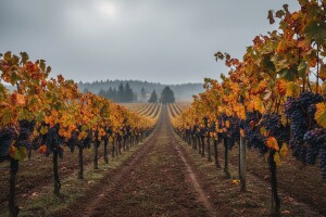 Izgledi za Hrvatsku za 18.09.2009-20.09.2009