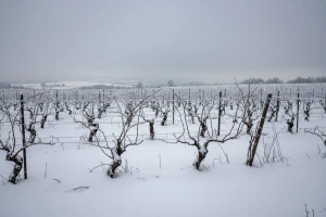 Izgledi za Hrvatsku za 18.12.2009-20.12.2009