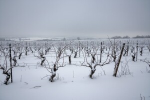 Izgledi za Hrvatsku za 18.12.2009-20.12.2009