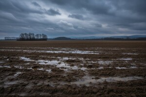 Izgledi za Hrvatsku za 19.01.2009-21.01.2009