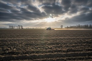 Izgledi za Hrvatsku za 19.12.2008-21.12.2008