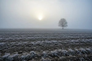 Izgledi za Hrvatsku za 20.11.2011-22.11.2011