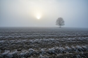 Izgledi za Hrvatsku za 20.11.2011-22.11.2011