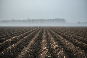 Izgledi za Hrvatsku za 21.02.2010-23.02.2010