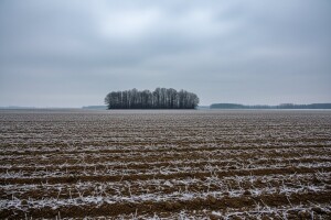 Izgledi za Hrvatsku za 24.01.2014-26.01.2014