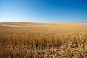 Izgledi za Hrvatsku za 24.06.2012-26.06.2012