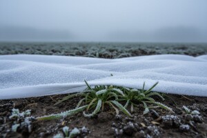 Izgledi za Hrvatsku za 26.02.2012-28.02.2012