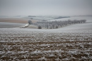 Izgledi za Hrvatsku za 26.12.2008-28.12.2008