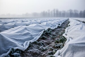 Izgledi za Hrvatsku za 27.01.2013-29.01.2013