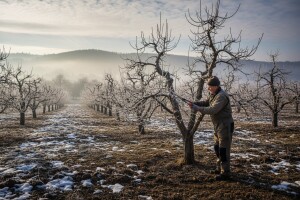 Izgledi za Hrvatsku za 27.02.2009 - 01.03.2009