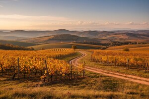 Izgledi za Hrvatsku za 27.10.2013-29.10.2013