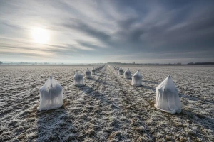 Izgledi za Hrvatsku za 27.12.2014-29.12.2014