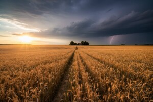 Izgledi za Hrvatsku za 28.08.2009-30.08.2009