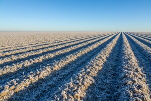 Izgledi za Hrvatsku za 29.12.2008-31.12.2008