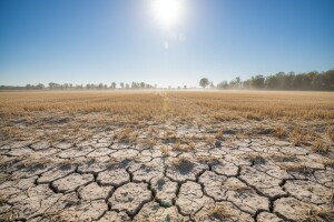 Izgledi za Hrvatsku za 31.07.2009-02.08.2009