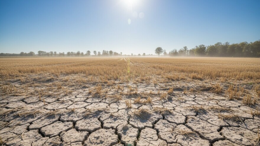 Izgledi za Hrvatsku za 31.07.2009-02.08.2009