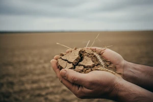 Izgledni ratovi za hranu
