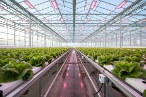 Izgradnja i opremanje plastenika: posjetite Meta-plast u Gudovcu