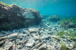 Izlov prstaca na hrvatskoj obali