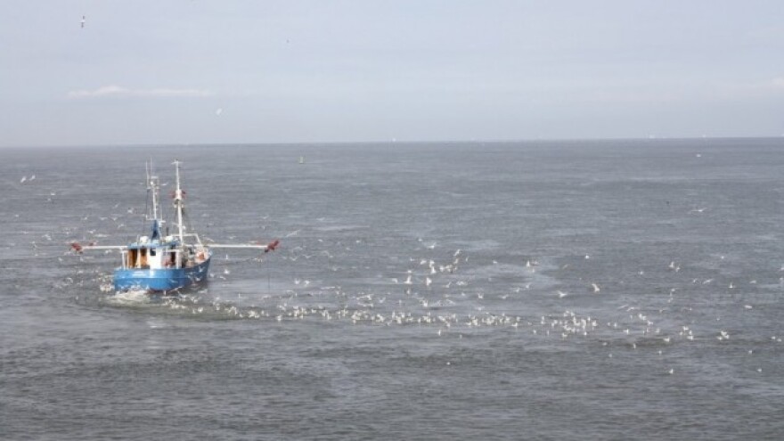 Da li će Španija povećati kvote za izlov?